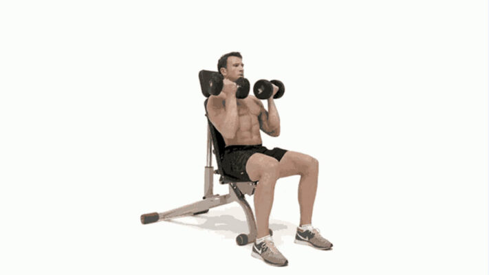 Жим Арнольда на фото.