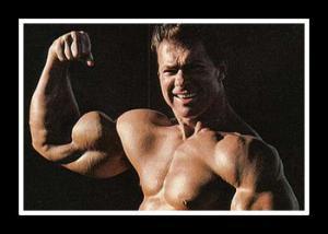 ������ ������� �����������: ����.