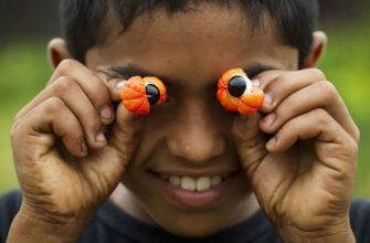 Гуарана: фото.