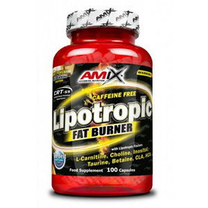 Lipotropic Fat Burner 200cps от Amix TM фото