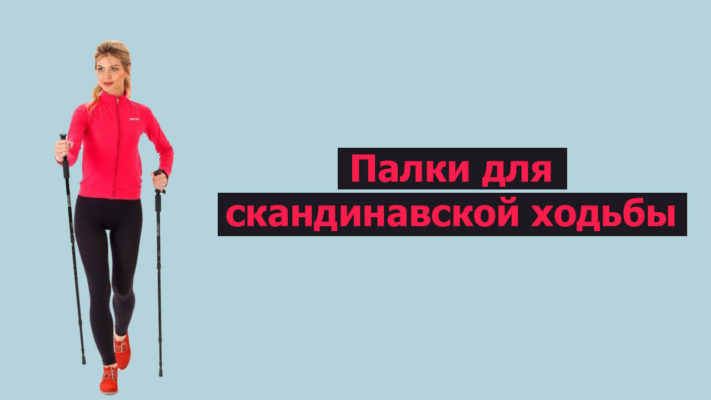 Палочки для скандинавской ходьбы фото