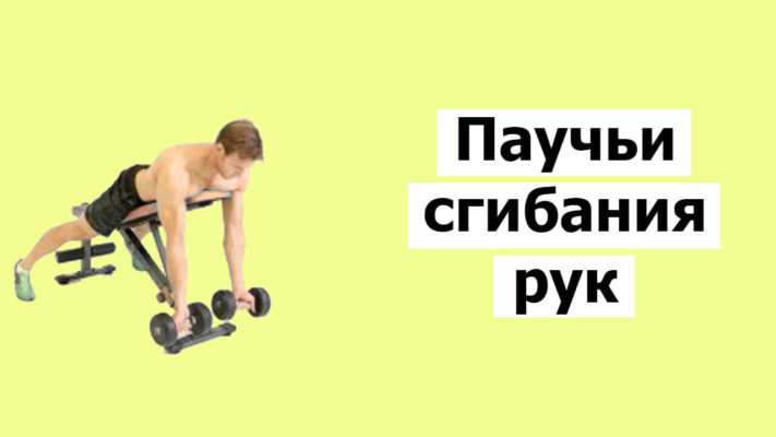 Паучьи сгибания фото