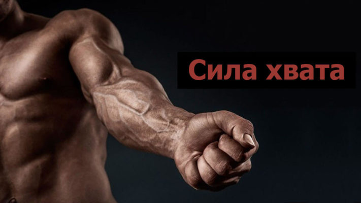 Сила хвата фото