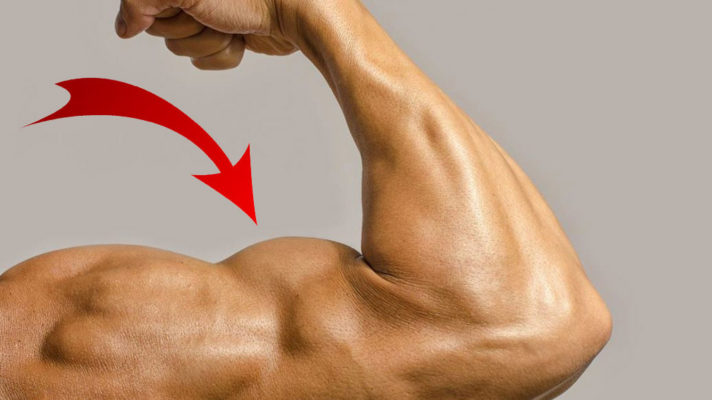 Не растет бицепс: фото.