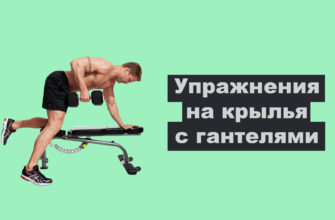 Мышцы спины человека анатомия на русском