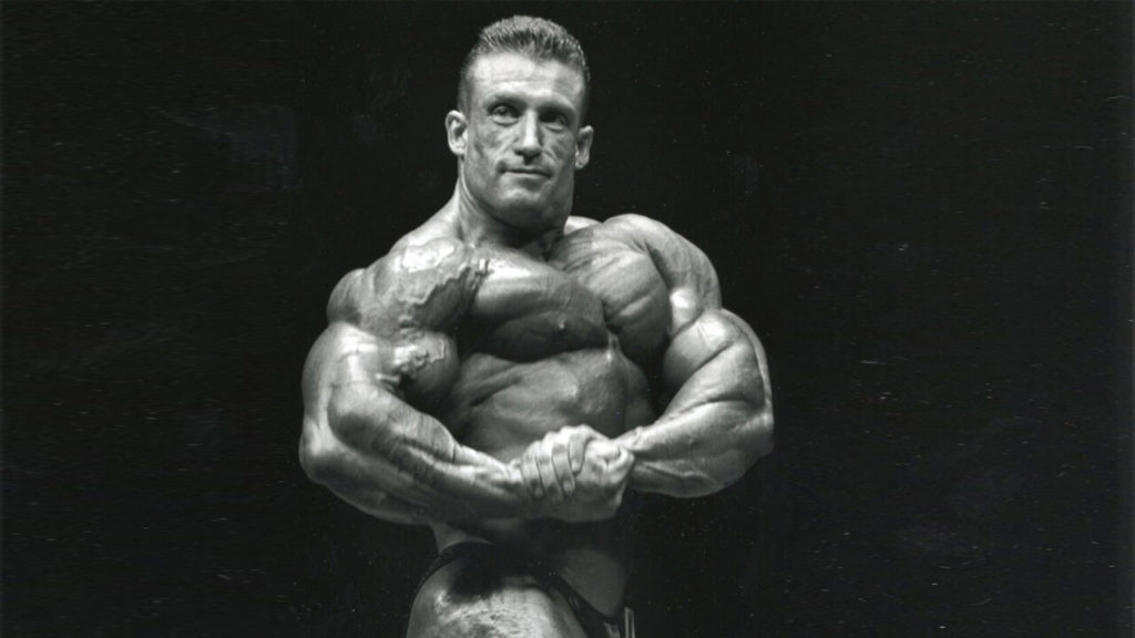 Shape 2000 ���������: ����.