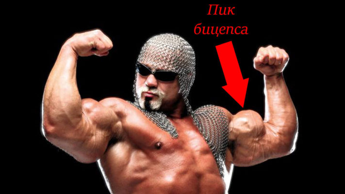 Пик бицепса: фото.