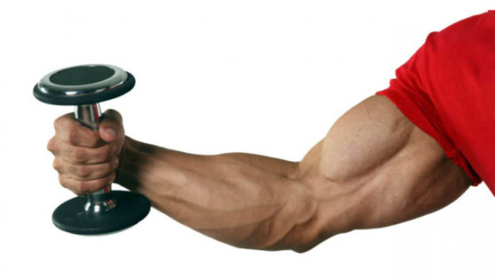 Базовые упражнения на бицепс: фото.