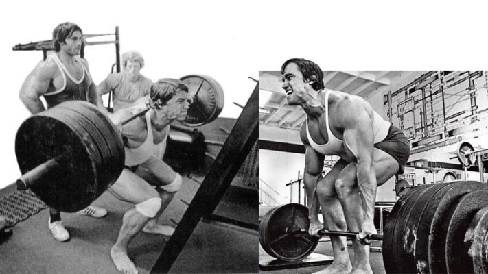 Силовые Арнольда: фото.