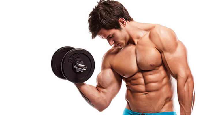 Что происходит в мышцах после тренировки: фото1.