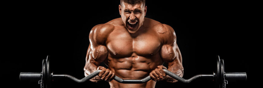 Внешний пучок бицепса качается: фото.