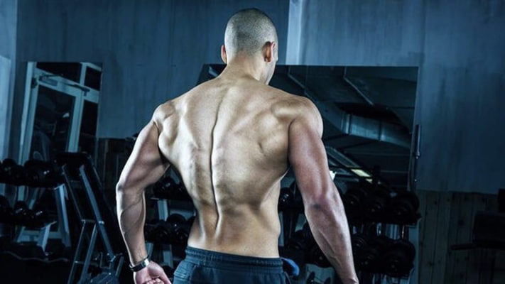 Изоляция спины.