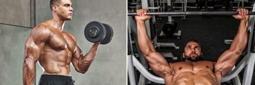 Тренировка грудь бицепс: фото.