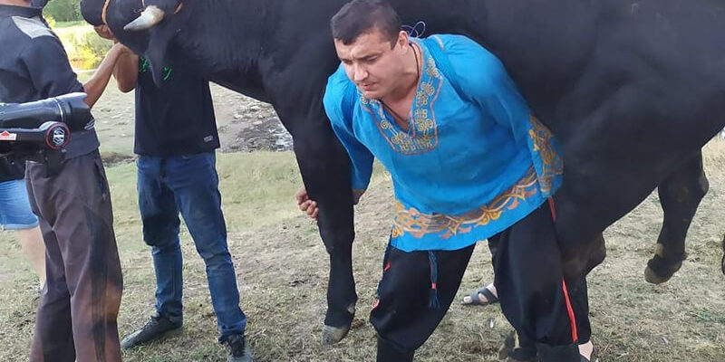 Дмитрий Халаджи поднял быка.