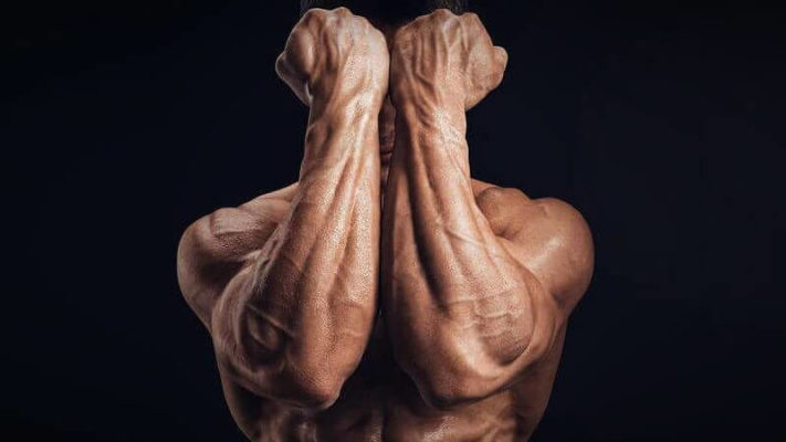 Упражнения на предплечья: фото.