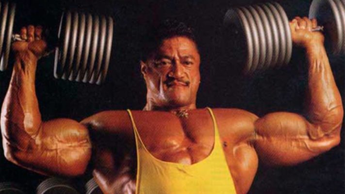 Сонни Шмидт: фото.