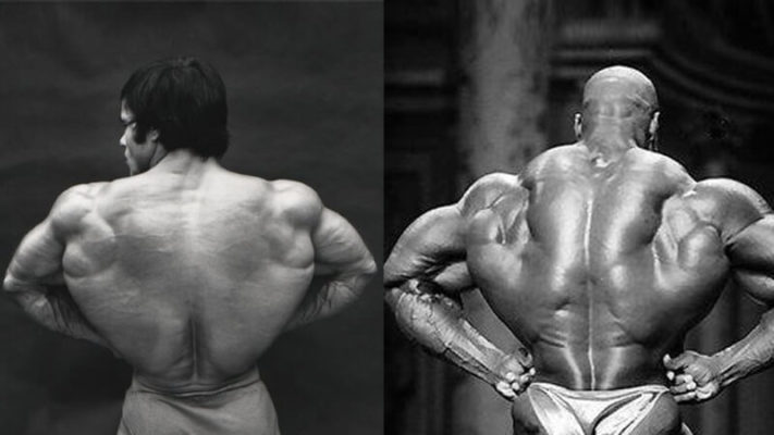 Бодибилдеры с самой широкой спиной.