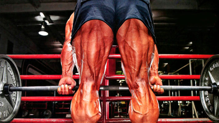 упражнения на заднюю поверхность бедра: фото.