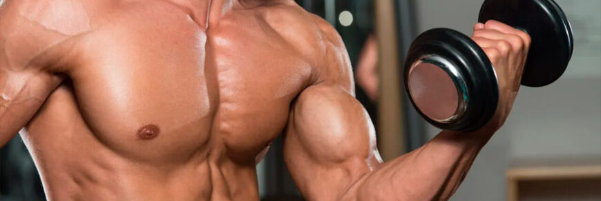 Сколько упражнений делать на бицепс: фото.