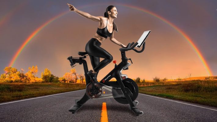 Какие мышцы работают на велотренажере: фото.