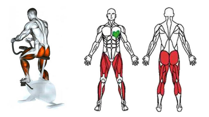 ����������� ������� SP Labs �������: ����.