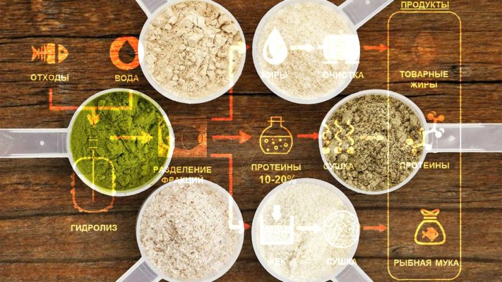 Сырье для протеина: фото.
