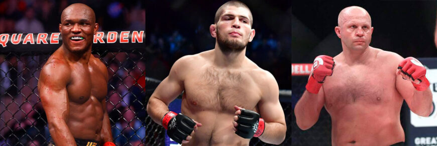 Лучший боец ММА: постер.