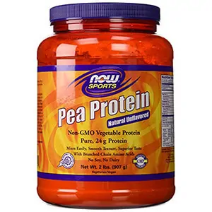 pea-protein-now