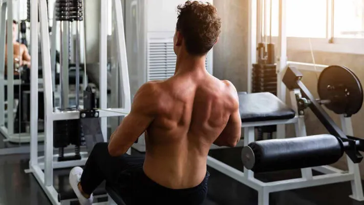 Тренажер для спины: фото.