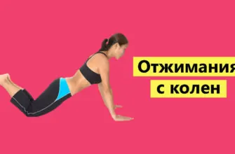 Отжимания с колен фото