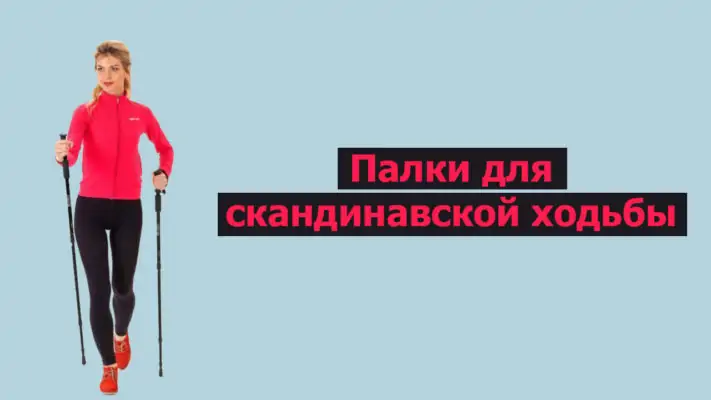 Палочки для скандинавской ходьбы фото