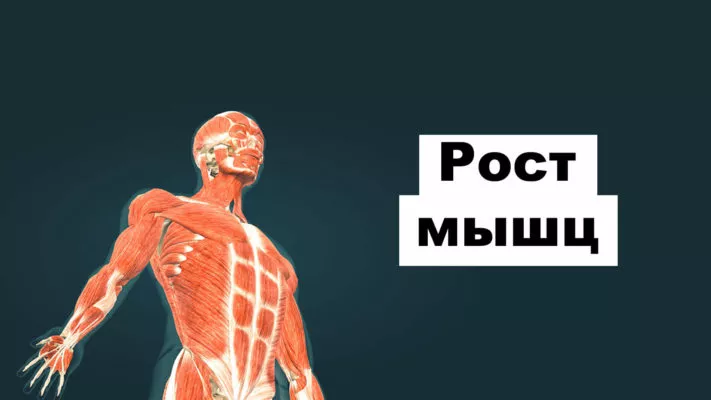 Рост мышц: фото.