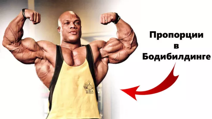 Пропорции в бодибилдинге: фото.