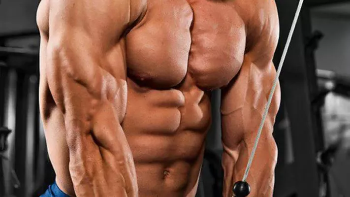 латеральная головка трицепса