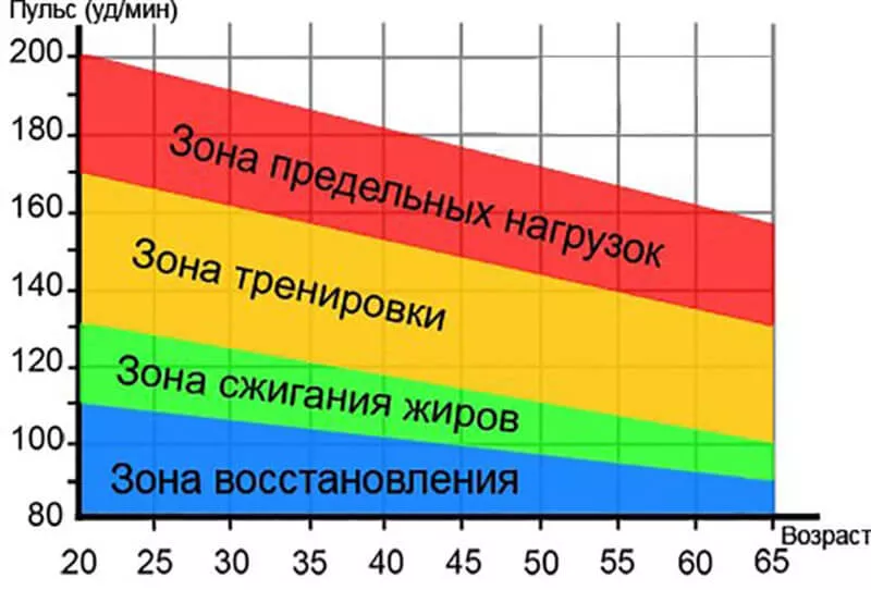 График с зоной пульса.