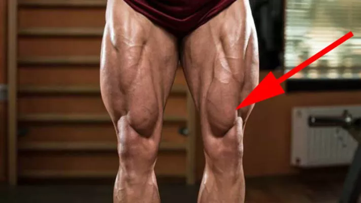 Каплевидный квадрицепс: фото.