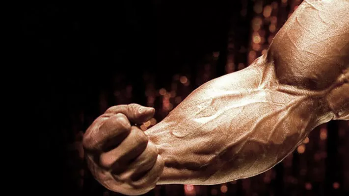 Обхват предплечья: фото.