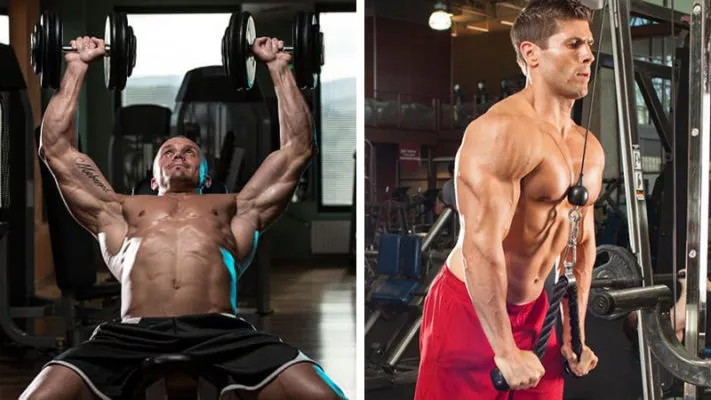 Тренировка грудь-трицепс: фото.