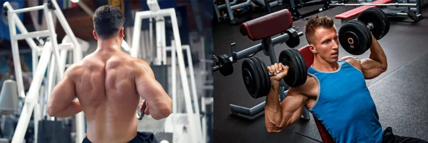 Сплит-тренировка спина-плечи: фото.