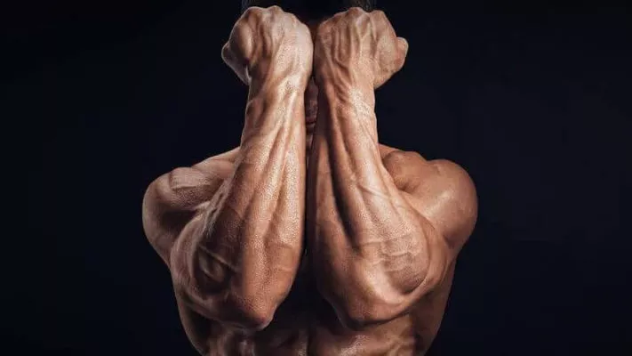 Упражнения на предплечья: фото.