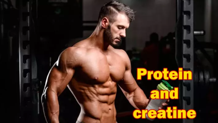 Как принимать протеин и креатин совместно: фото.