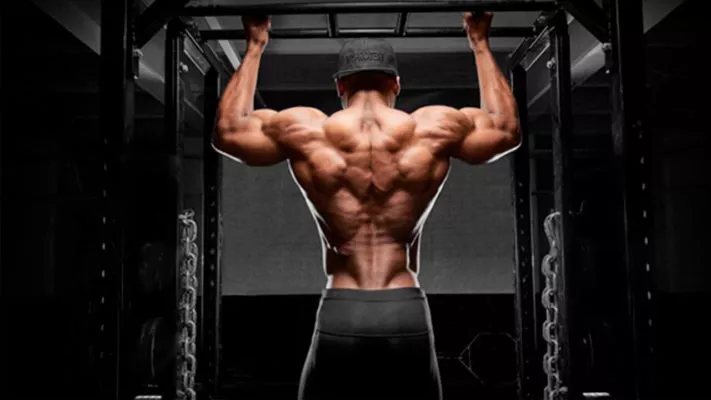 Сколько подтягиваются гимнасты: фото.